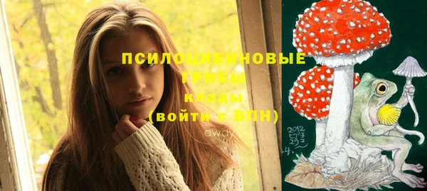 сатива Лихославль