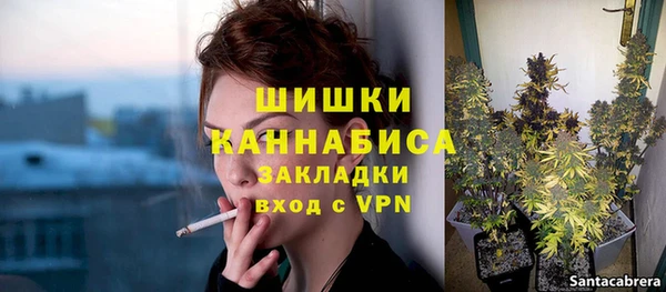 каннабис Майский