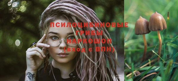 сатива Лихославль