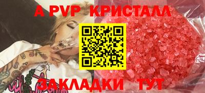 ПСИЛОЦИБИНОВЫЕ ГРИБЫ Гагарин