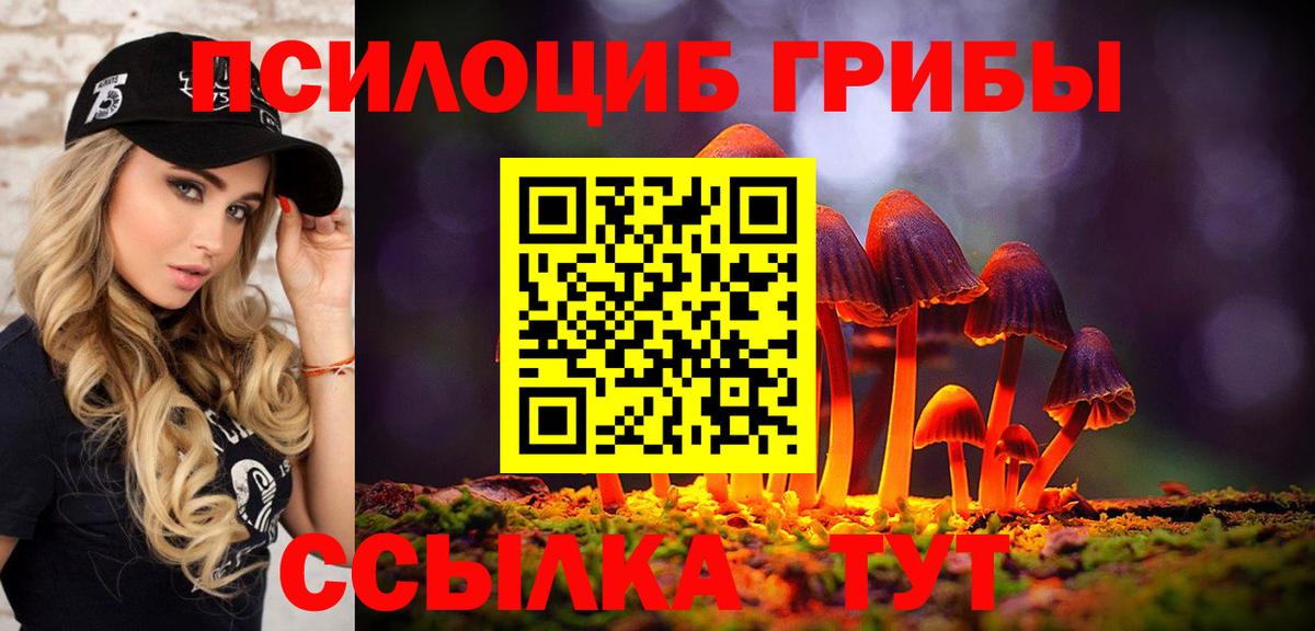 Галлюциногенные грибы прущие грибы Ковров
