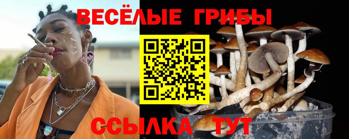 Псилоцибиновые грибы мицелий  Вход с VPN  как найти закладки  Ковров 